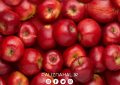 آیا درخت سیب قرمز پرسودترین رقم میوه در ایران است؟